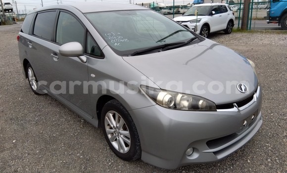 Nunua Ilio tumika Toyota Wish Fedha Gari ndani ya Beitbridge nchini Matabeleland Kusini