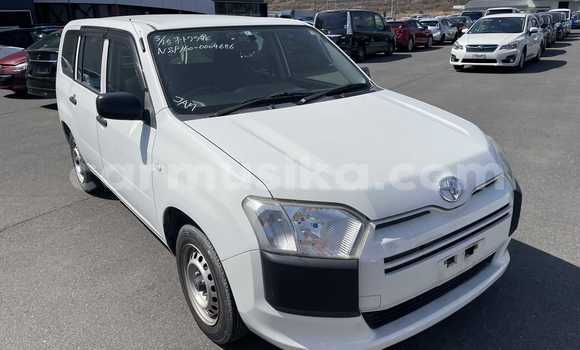 Acheter Occasion Voiture Toyota Probox Blanc à Beitbridge, Matabeleland South