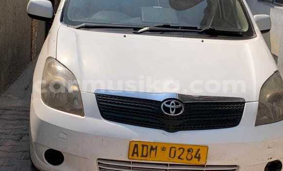 Tenga Tsaru Toyota Spacio Chena Mota in Harare in Harare Tenga Tsaru Toyota Spacio Chena Mota in Harare in Harare