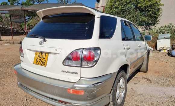 Tenga Tsaru Toyota Harrier Chena Mota in Harare in Harare Tenga Tsaru Toyota Harrier Chena Mota in Harare in Harare