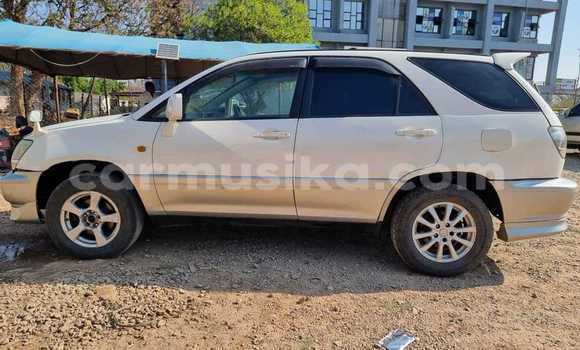Tenga Tsaru Toyota Harrier Chena Mota in Harare in Harare Tenga Tsaru Toyota Harrier Chena Mota in Harare in Harare