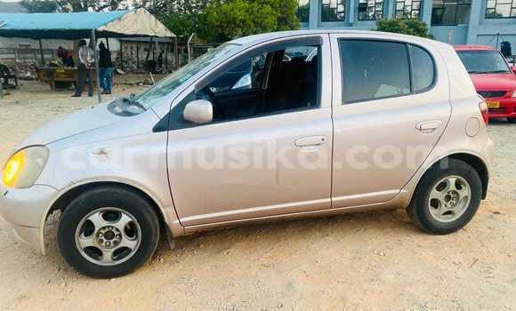 Tenga Tsaru Toyota Vitz Zvimwe Mota in Harare in Harare Tenga Tsaru Toyota Vitz Zvimwe Mota in Harare in Harare
