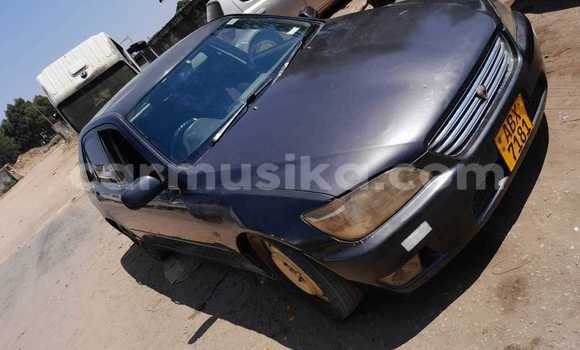 Tenga Tsaru Toyota Altezza Zvimwe Mota in Harare in Harare Tenga Tsaru Toyota Altezza Zvimwe Mota in Harare in Harare