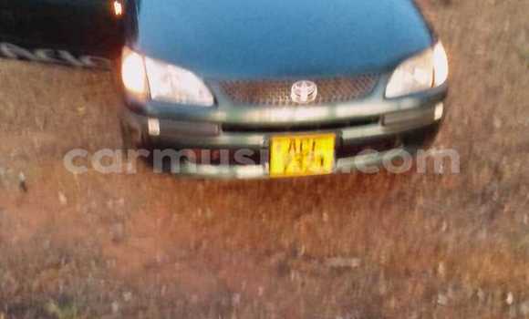 Tenga Tsaru Toyota Spacio Zvimwe Mota in Harare in Harare Tenga Tsaru Toyota Spacio Zvimwe Mota in Harare in Harare