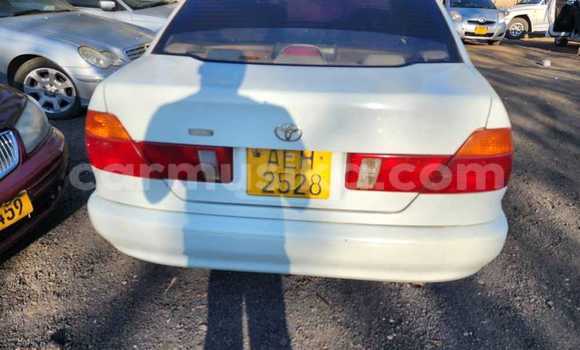 Tenga Tsaru Toyota Sprinter Chena Mota in Harare in Harare Tenga Tsaru Toyota Sprinter Chena Mota in Harare in Harare