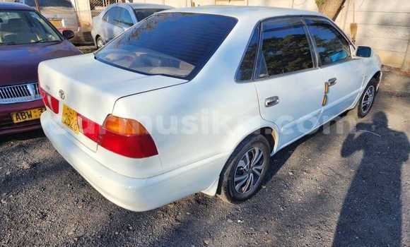 Tenga Tsaru Toyota Sprinter Chena Mota in Harare in Harare Tenga Tsaru Toyota Sprinter Chena Mota in Harare in Harare