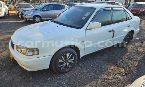 Tenga Tsaru Toyota Sprinter Chena Mota in Harare in Harare Tenga Tsaru Toyota Sprinter Chena Mota in Harare in Harare