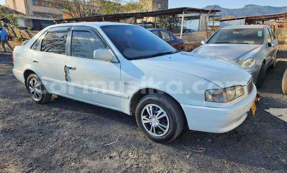 Tenga Tsaru Toyota Sprinter Chena Mota in Harare in Harare Tenga Tsaru Toyota Sprinter Chena Mota in Harare in Harare