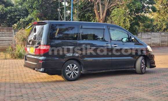Tenga Tsaru Toyota Alphard Nhema Mota in Harare in Harare Tenga Tsaru Toyota Alphard Nhema Mota in Harare in Harare