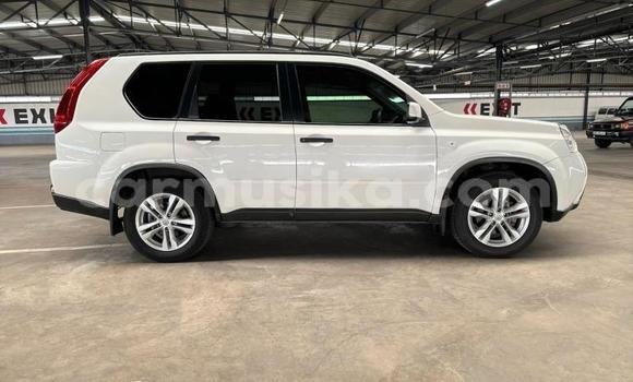 Buy Used Nissan X–Trail White Car in Beitbridge in Matabeleland South Buy Used Nissan X–Trail White Car in Beitbridge in Matabeleland South