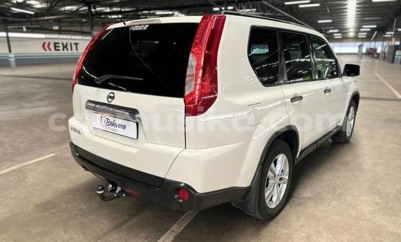 Buy Used Nissan X–Trail White Car in Beitbridge in Matabeleland South Buy Used Nissan X–Trail White Car in Beitbridge in Matabeleland South