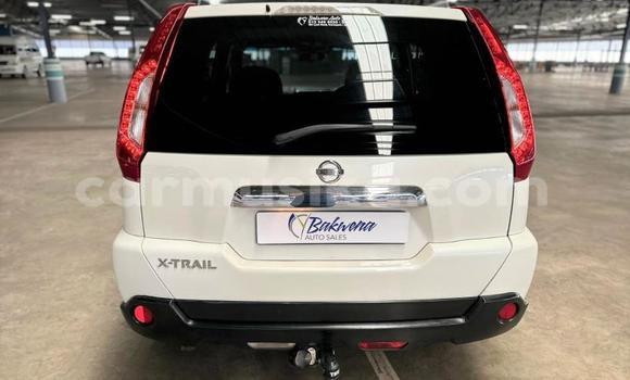 Buy Used Nissan X–Trail White Car in Beitbridge in Matabeleland South Buy Used Nissan X–Trail White Car in Beitbridge in Matabeleland South