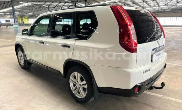 Buy Used Nissan X–Trail White Car in Beitbridge in Matabeleland South Buy Used Nissan X–Trail White Car in Beitbridge in Matabeleland South