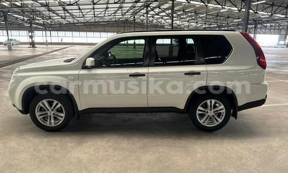 Buy Used Nissan X–Trail White Car in Beitbridge in Matabeleland South Buy Used Nissan X–Trail White Car in Beitbridge in Matabeleland South