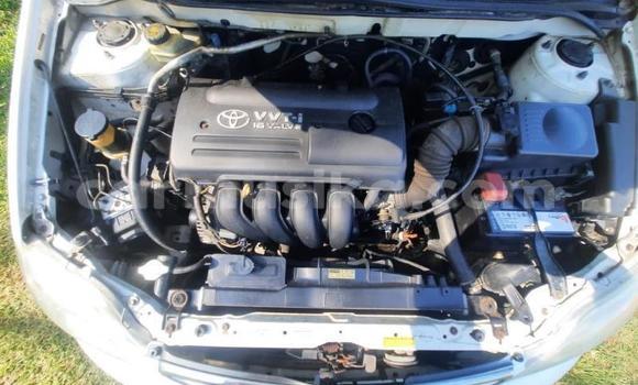 Buy Used Toyota Corolla White Car in Beitbridge in Matabeleland South Buy Used Toyota Corolla White Car in Beitbridge in Matabeleland South