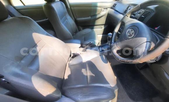 Buy Used Toyota Corolla White Car in Beitbridge in Matabeleland South Buy Used Toyota Corolla White Car in Beitbridge in Matabeleland South