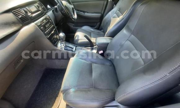 Buy Used Toyota Corolla White Car in Beitbridge in Matabeleland South Buy Used Toyota Corolla White Car in Beitbridge in Matabeleland South