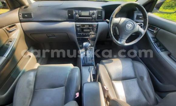 Buy Used Toyota Corolla White Car in Beitbridge in Matabeleland South Buy Used Toyota Corolla White Car in Beitbridge in Matabeleland South