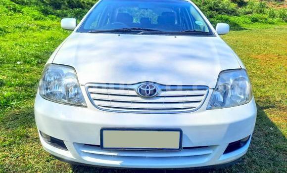 Buy Used Toyota Corolla White Car in Beitbridge in Matabeleland South Buy Used Toyota Corolla White Car in Beitbridge in Matabeleland South