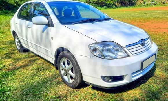 Buy Used Toyota Corolla White Car in Beitbridge in Matabeleland South Buy Used Toyota Corolla White Car in Beitbridge in Matabeleland South