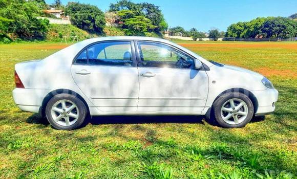 Buy Used Toyota Corolla White Car in Beitbridge in Matabeleland South Buy Used Toyota Corolla White Car in Beitbridge in Matabeleland South