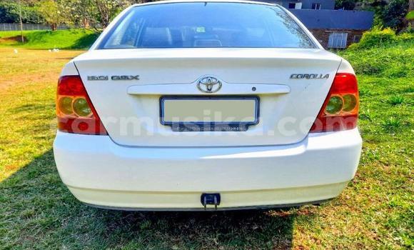 Buy Used Toyota Corolla White Car in Beitbridge in Matabeleland South Buy Used Toyota Corolla White Car in Beitbridge in Matabeleland South