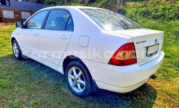 Buy Used Toyota Corolla White Car in Beitbridge in Matabeleland South Buy Used Toyota Corolla White Car in Beitbridge in Matabeleland South