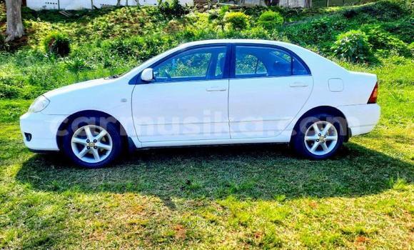 Buy Used Toyota Corolla White Car in Beitbridge in Matabeleland South Buy Used Toyota Corolla White Car in Beitbridge in Matabeleland South