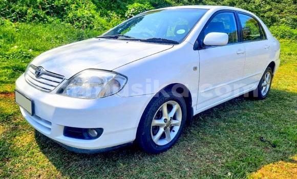 Buy Used Toyota Corolla White Car in Beitbridge in Matabeleland South Buy Used Toyota Corolla White Car in Beitbridge in Matabeleland South