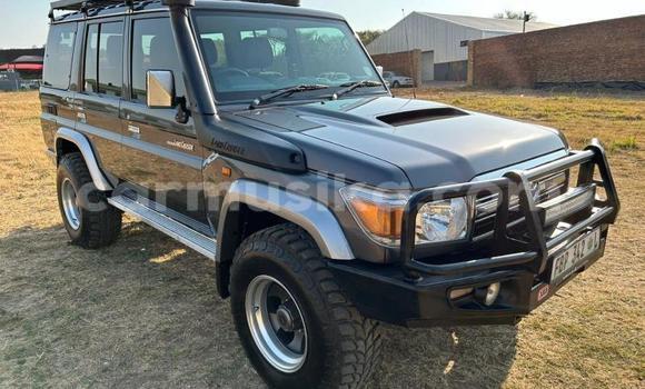Acheter Occasion Voiture Toyota Land Cruiser Autre à Beitbridge, Matabeleland South