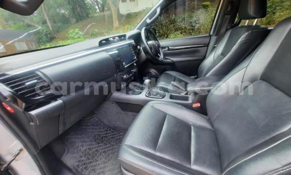 Acheter Occasion Voiture Toyota Hilux Gris à Beitbridge, Matabeleland South Acheter Occasion Voiture Toyota Hilux Gris à Beitbridge, Matabeleland South