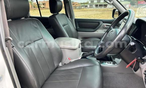 Acheter Occasion Voiture Toyota Land Cruiser Blanc à Beitbridge, Matabeleland South Acheter Occasion Voiture Toyota Land Cruiser Blanc à Beitbridge, Matabeleland South