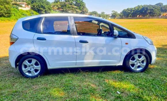 Buy Used Honda Jazz White Car in Beitbridge in Matabeleland South Buy Used Honda Jazz White Car in Beitbridge in Matabeleland South