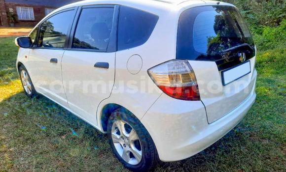 Buy Used Honda Jazz White Car in Beitbridge in Matabeleland South Buy Used Honda Jazz White Car in Beitbridge in Matabeleland South