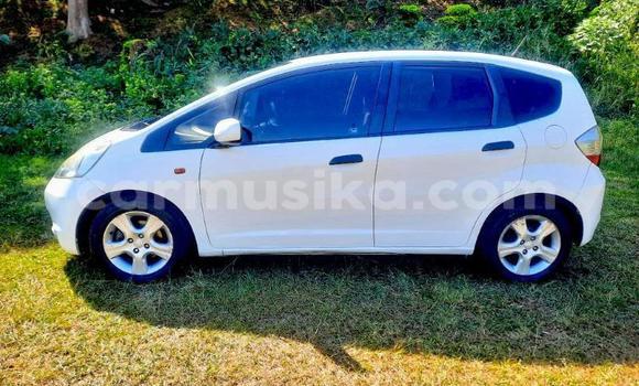 Buy Used Honda Jazz White Car in Beitbridge in Matabeleland South Buy Used Honda Jazz White Car in Beitbridge in Matabeleland South