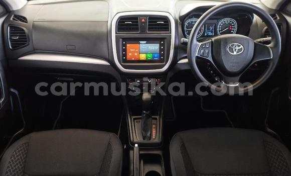 Tenga Tsaru Toyota Urban Cruiser Bhuruu Mota in Harare in Harare Tenga Tsaru Toyota Urban Cruiser Bhuruu Mota in Harare in Harare