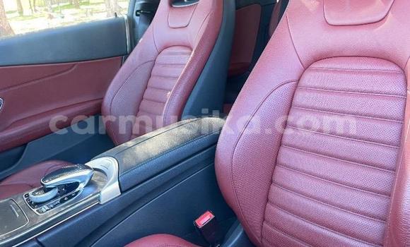 Tenga Tsaru Mercedes‒Benz C–Class Nhema Mota in Beitbridge in Matabeleland South Tenga Tsaru Mercedes‒Benz C–Class Nhema Mota in Beitbridge in Matabeleland South