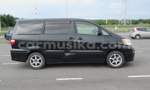 Tenga Tsaru Toyota Alphard Nhema Mota in Beitbridge in Matabeleland South Tenga Tsaru Toyota Alphard Nhema Mota in Beitbridge in Matabeleland South