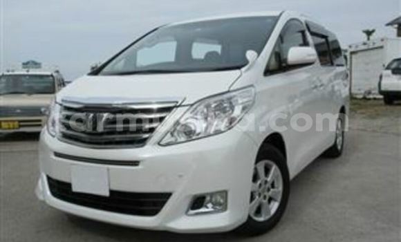 Acheter Occasion Voiture Toyota Alphard Blanc à Beitbridge, Matabeleland South Acheter Occasion Voiture Toyota Alphard Blanc à Beitbridge, Matabeleland South