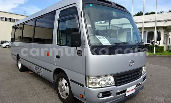 Buy Used Toyota Coaster Silver Car in Beitbridge in Matabeleland South