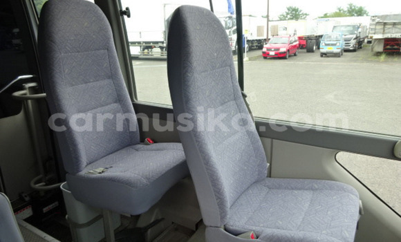 Tenga Tsaru Toyota Coaster Sirivha Mota in Beitbridge in Matabeleland South Tenga Tsaru Toyota Coaster Sirivha Mota in Beitbridge in Matabeleland South