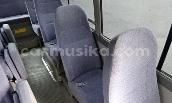 Tenga Tsaru Toyota Coaster Sirivha Mota in Beitbridge in Matabeleland South Tenga Tsaru Toyota Coaster Sirivha Mota in Beitbridge in Matabeleland South