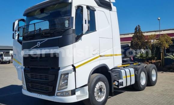 Acheter Occasion Utilitaire Volvo F4 Blanc à Beitbridge, Matabeleland South Acheter Occasion Utilitaire Volvo F4 Blanc à Beitbridge, Matabeleland South
