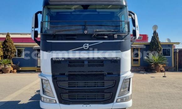Acheter Occasion Utilitaire Volvo F4 Blanc à Beitbridge, Matabeleland South Acheter Occasion Utilitaire Volvo F4 Blanc à Beitbridge, Matabeleland South