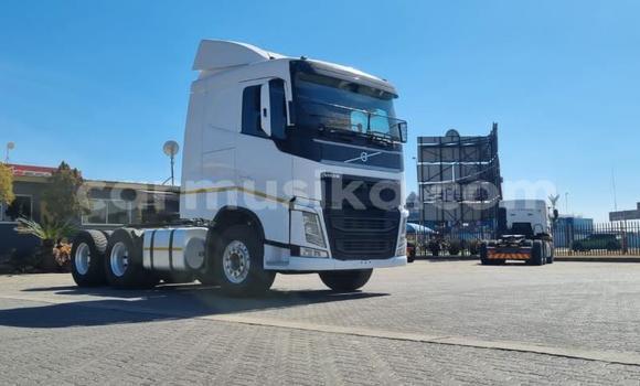 Acheter Occasion Utilitaire Volvo F4 Blanc à Beitbridge, Matabeleland South Acheter Occasion Utilitaire Volvo F4 Blanc à Beitbridge, Matabeleland South