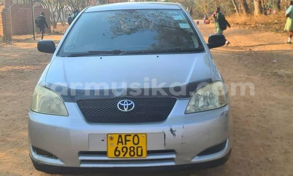 Acheter Occasion Voiture Toyota Corolla Autre à Harare, Harare Acheter Occasion Voiture Toyota Corolla Autre à Harare, Harare