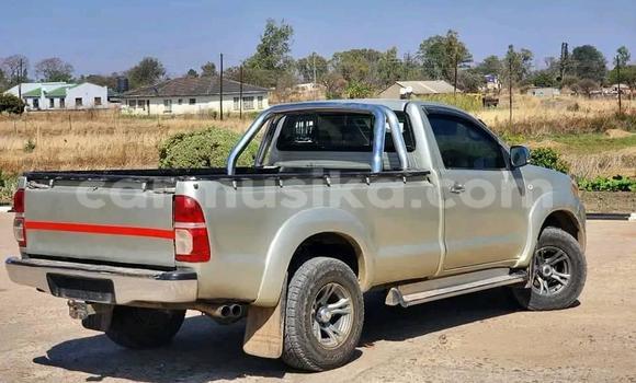 Acheter Occasion Voiture Toyota Hilux Autre à Harare, Harare Acheter Occasion Voiture Toyota Hilux Autre à Harare, Harare