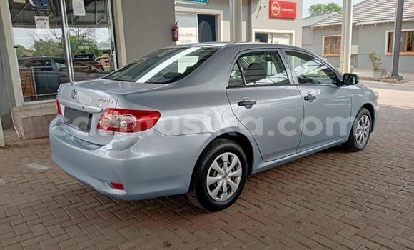 Tenga Tsaru Toyota Corolla Bhuruu Mota in Beitbridge in Matabeleland South Tenga Tsaru Toyota Corolla Bhuruu Mota in Beitbridge in Matabeleland South