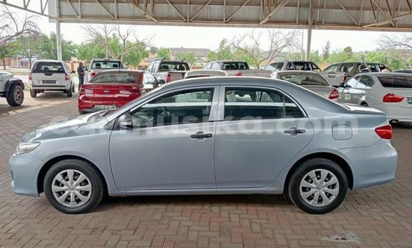 Tenga Tsaru Toyota Corolla Bhuruu Mota in Beitbridge in Matabeleland South Tenga Tsaru Toyota Corolla Bhuruu Mota in Beitbridge in Matabeleland South