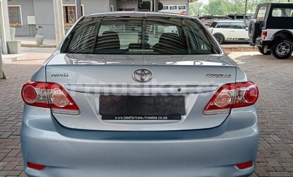 Tenga Tsaru Toyota Corolla Bhuruu Mota in Beitbridge in Matabeleland South Tenga Tsaru Toyota Corolla Bhuruu Mota in Beitbridge in Matabeleland South